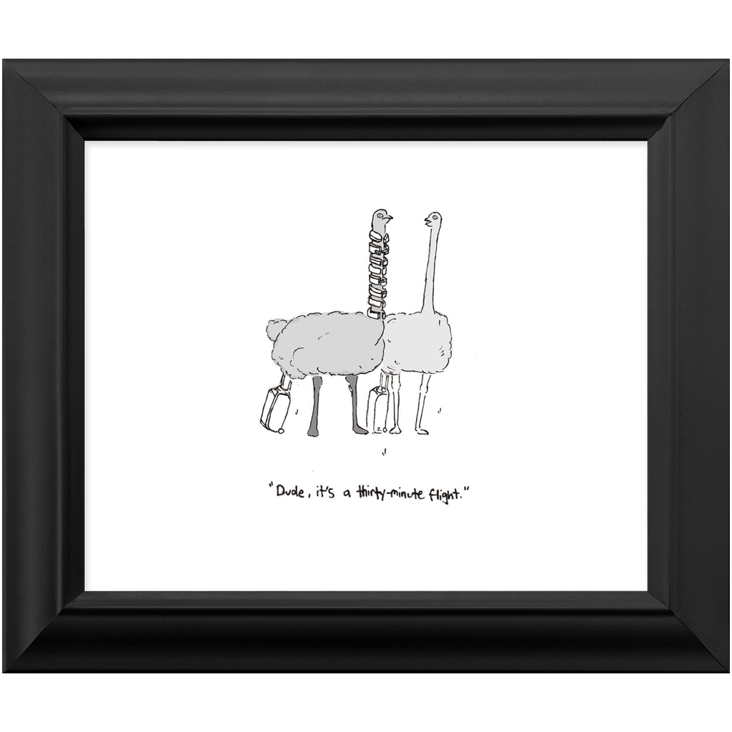 flying ostriches framed print