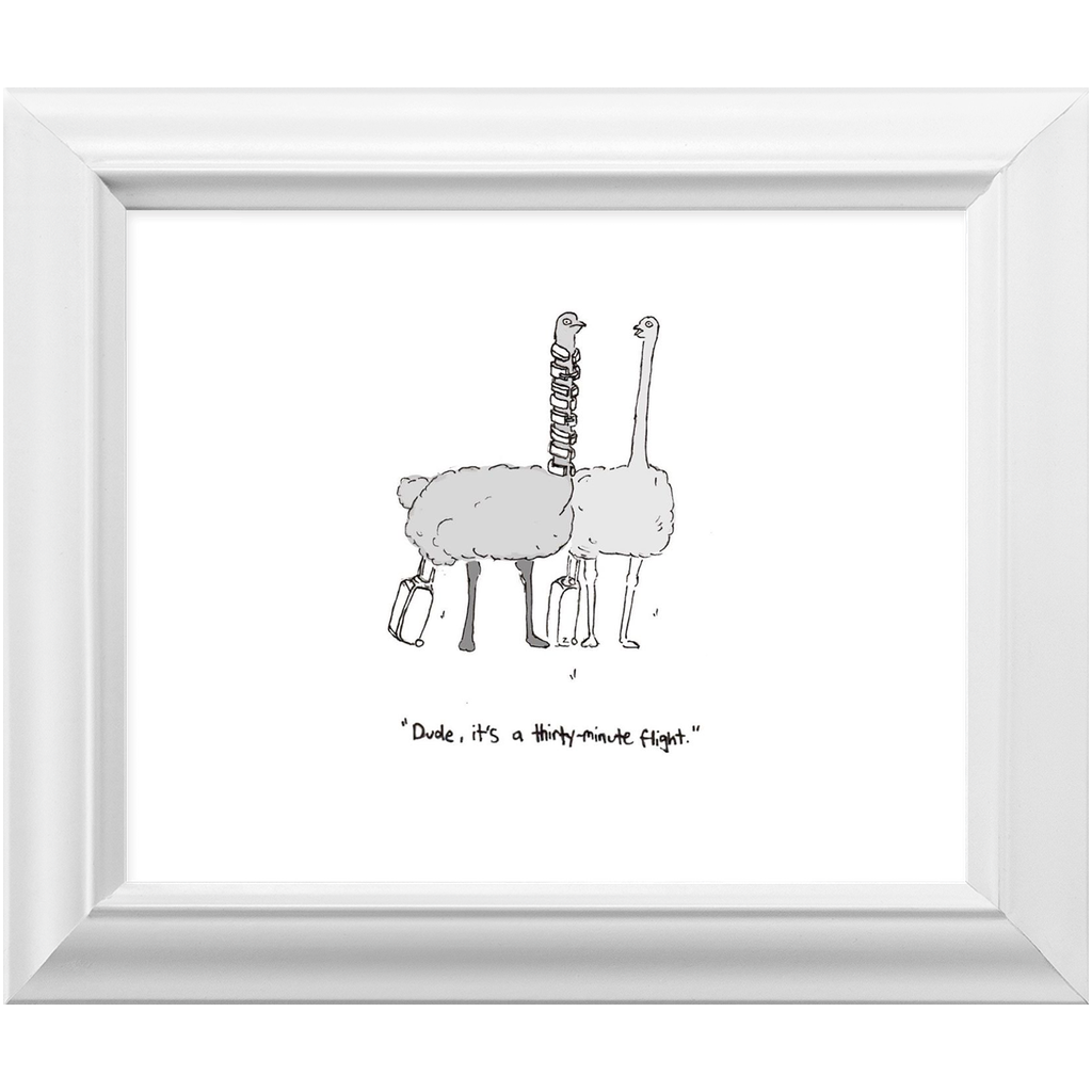flying ostriches framed print