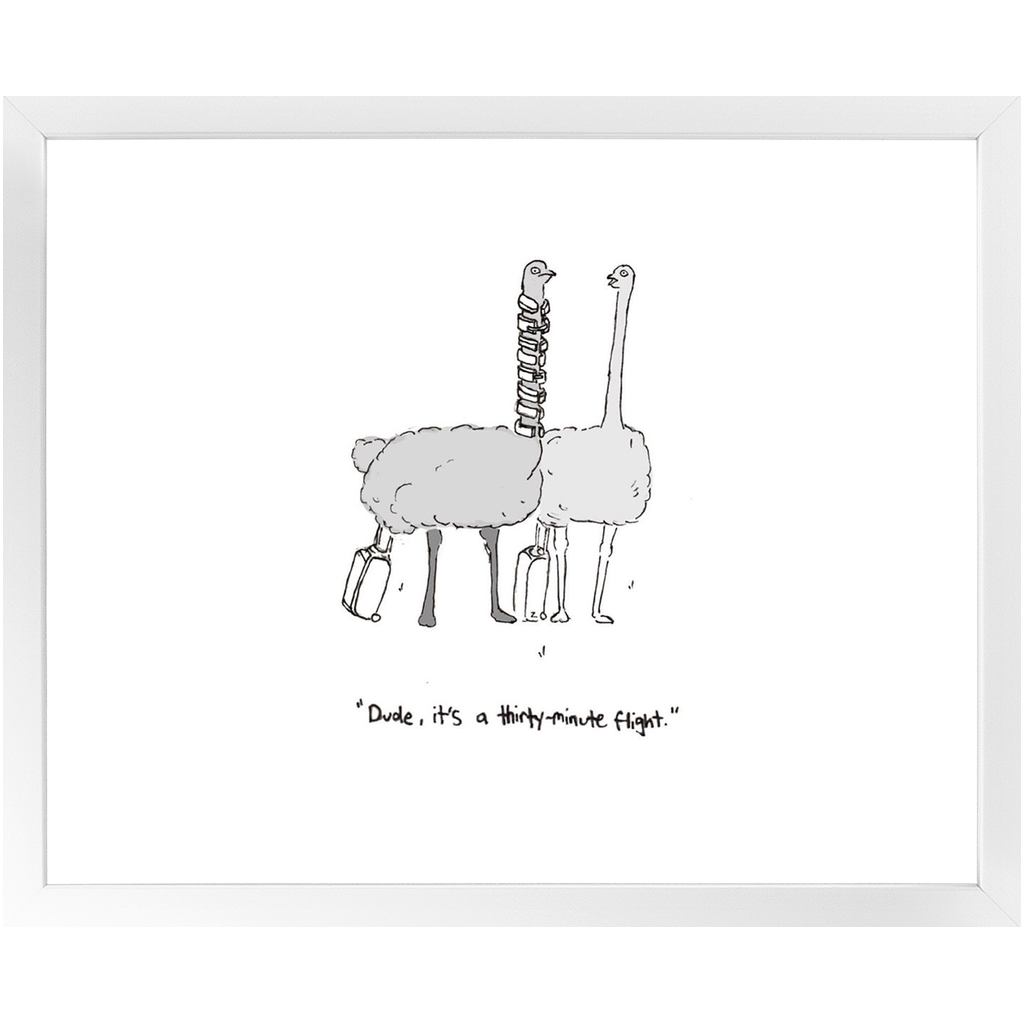 flying ostriches framed print