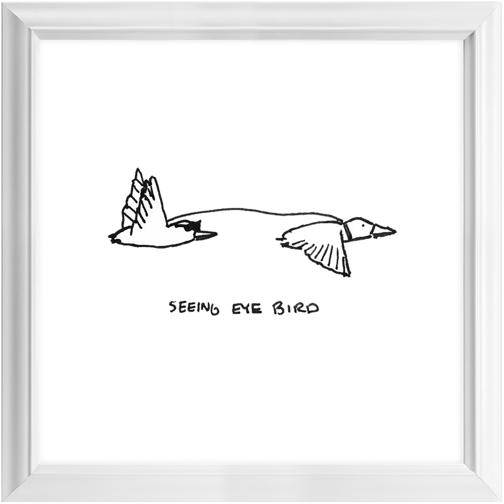 seeing-eye bird framed print