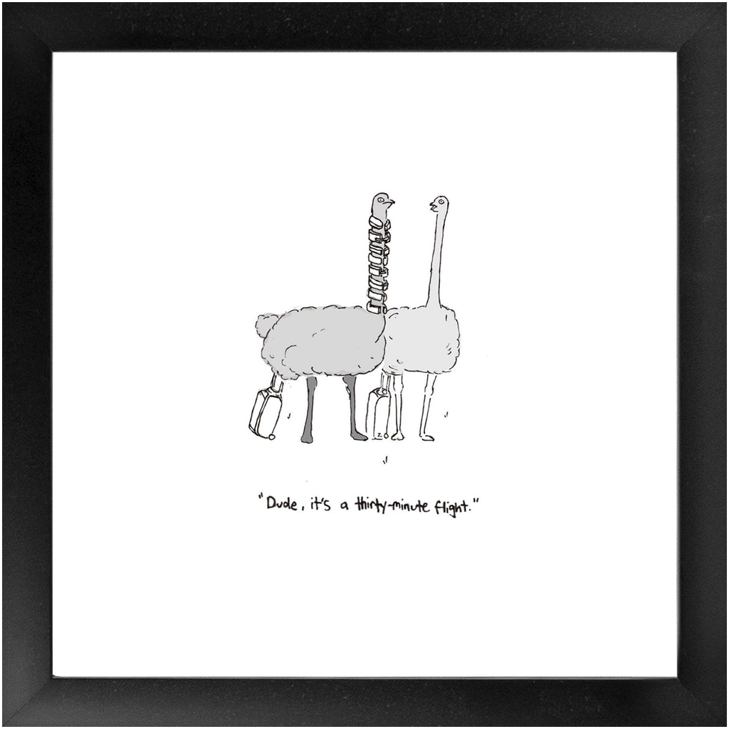 flying ostriches framed print