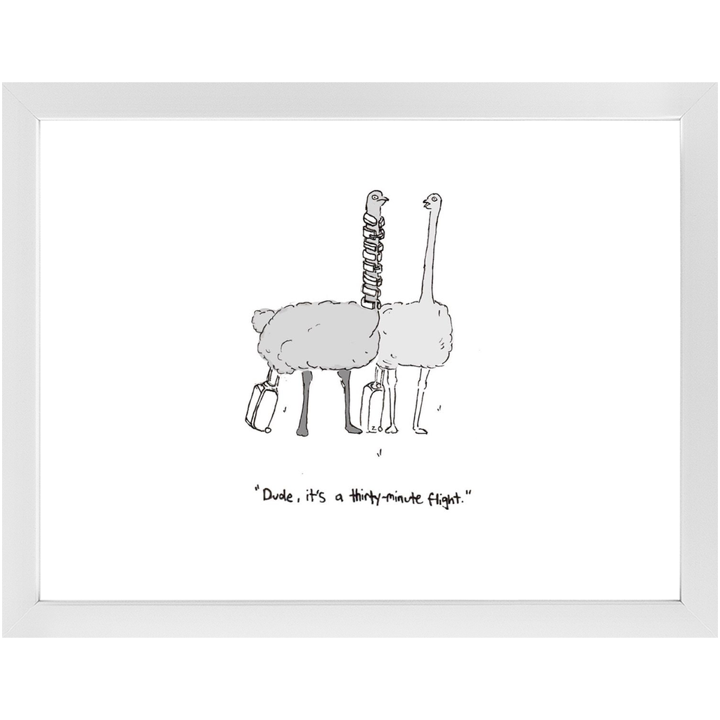 flying ostriches framed print