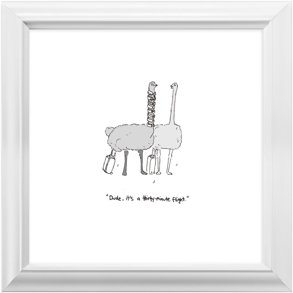 flying ostriches framed print