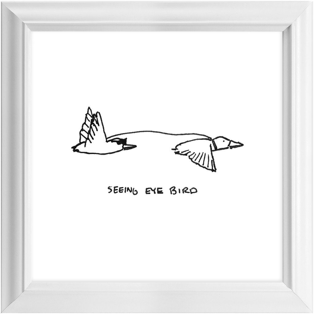 seeing-eye bird framed print