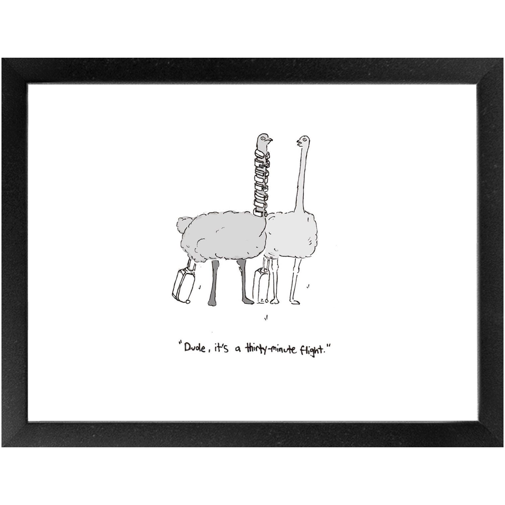 flying ostriches framed print