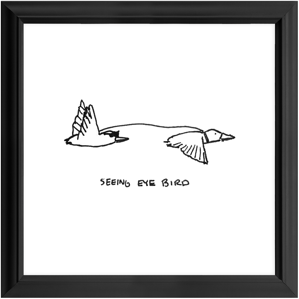 seeing-eye bird framed print