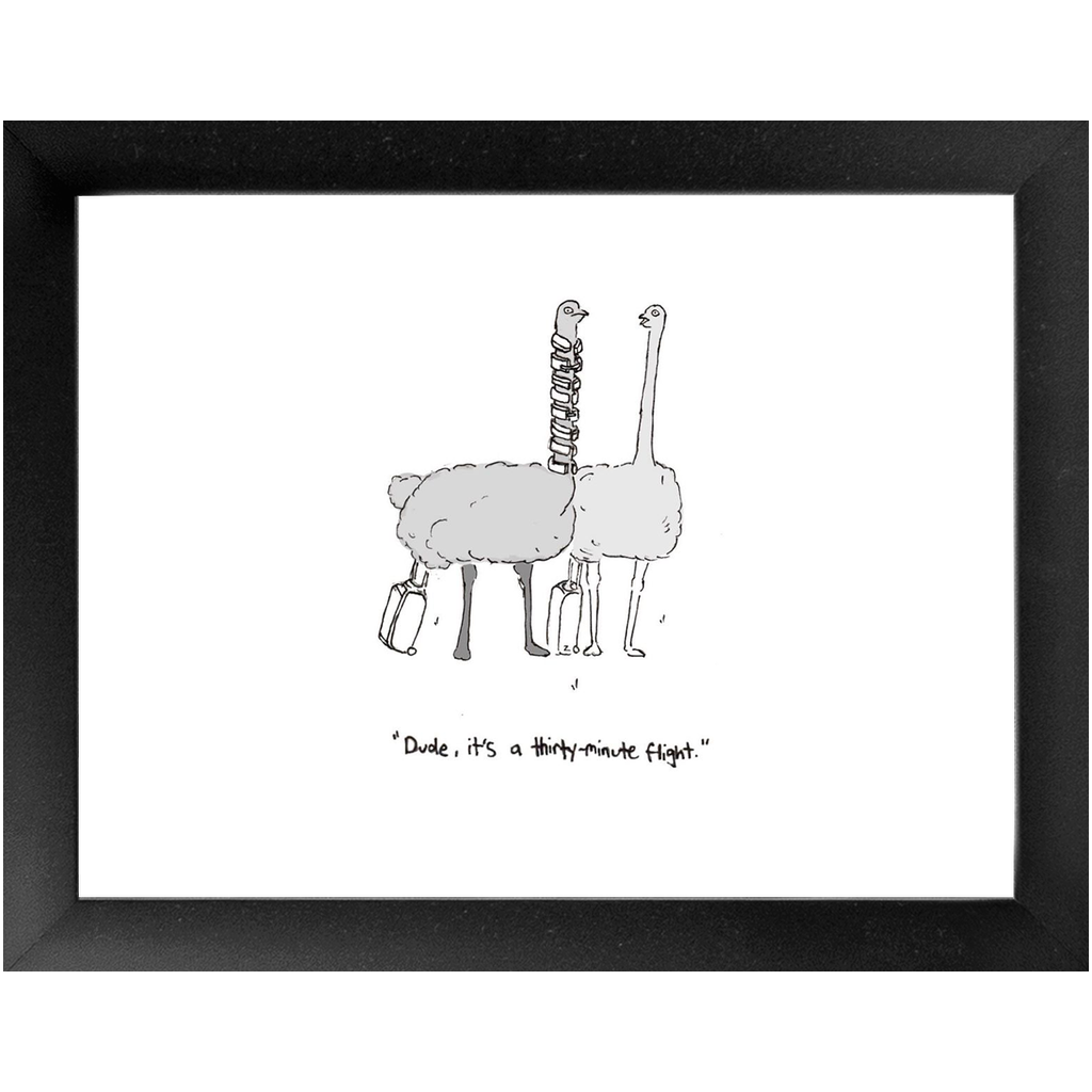 flying ostriches framed print