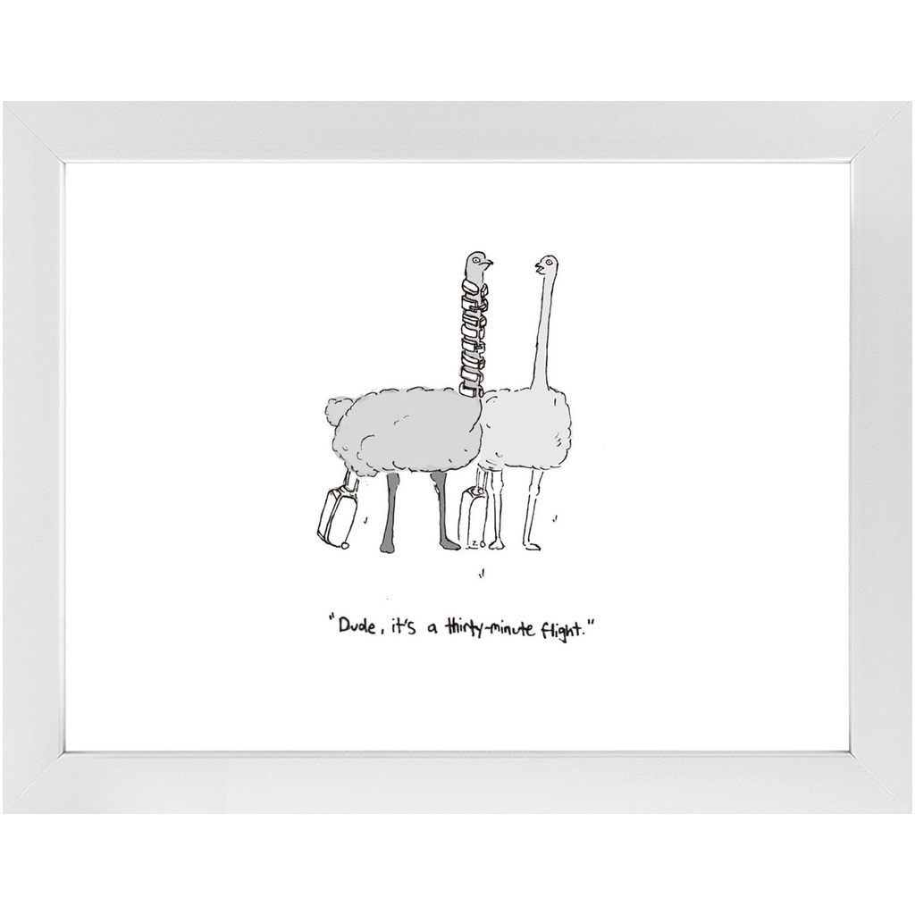 flying ostriches framed print