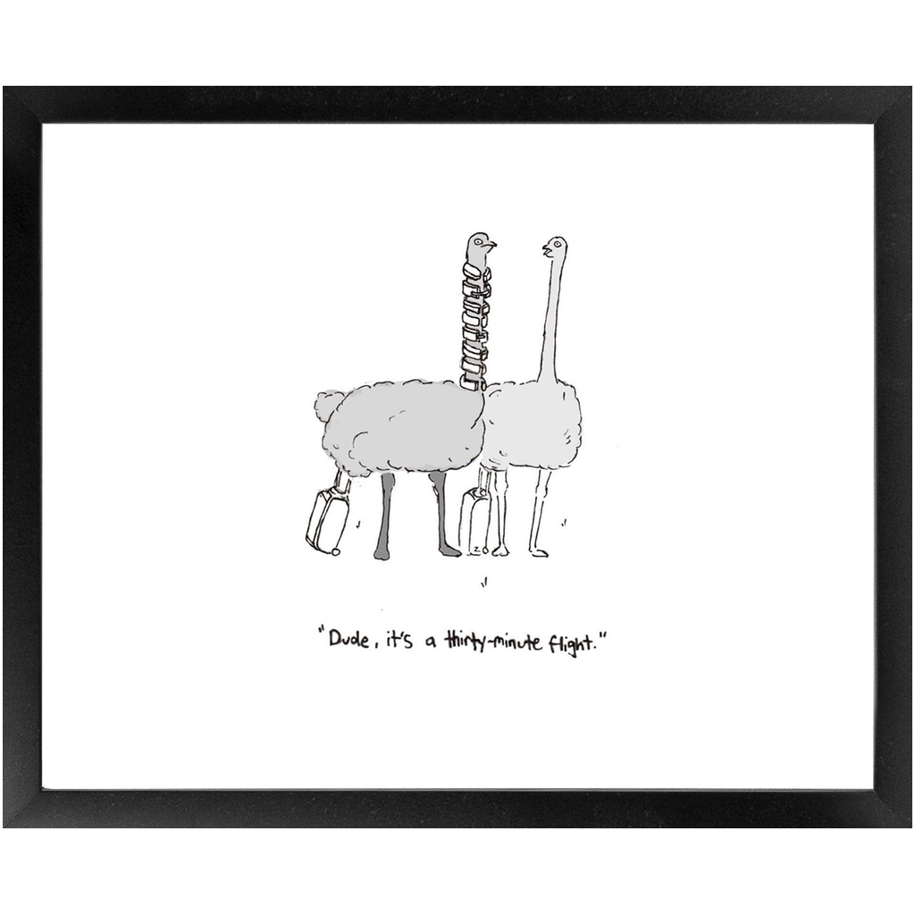 flying ostriches framed print