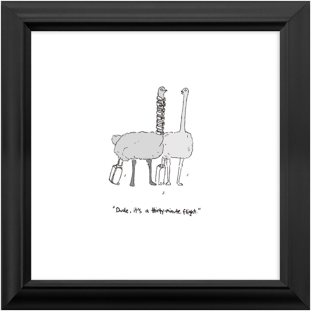 flying ostriches framed print