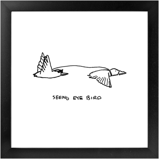 seeing-eye bird framed print