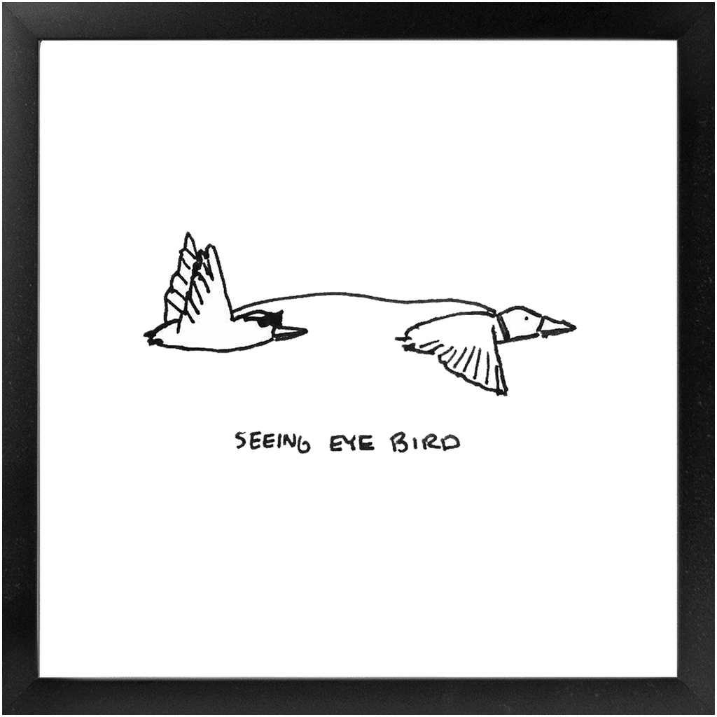 seeing-eye bird framed print