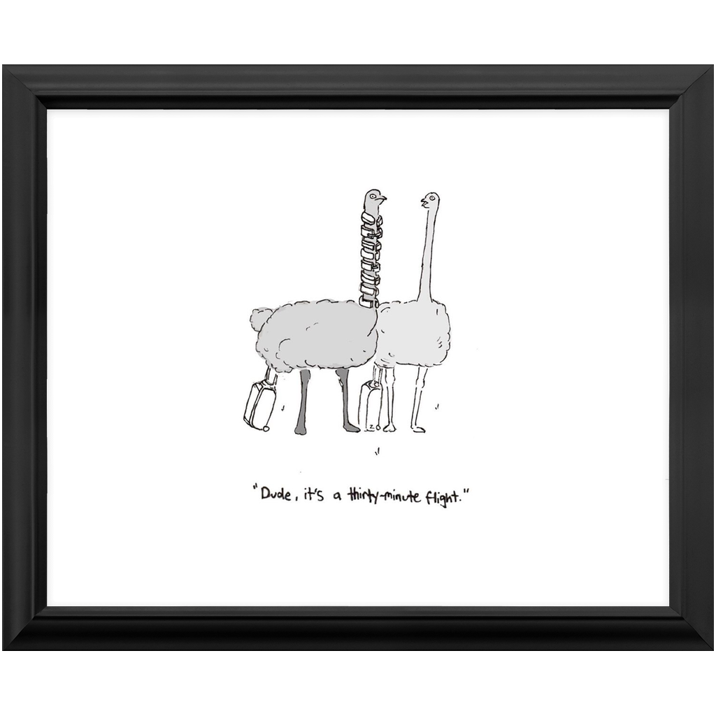 flying ostriches framed print