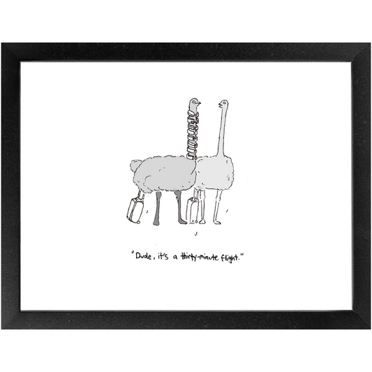 flying ostriches framed print