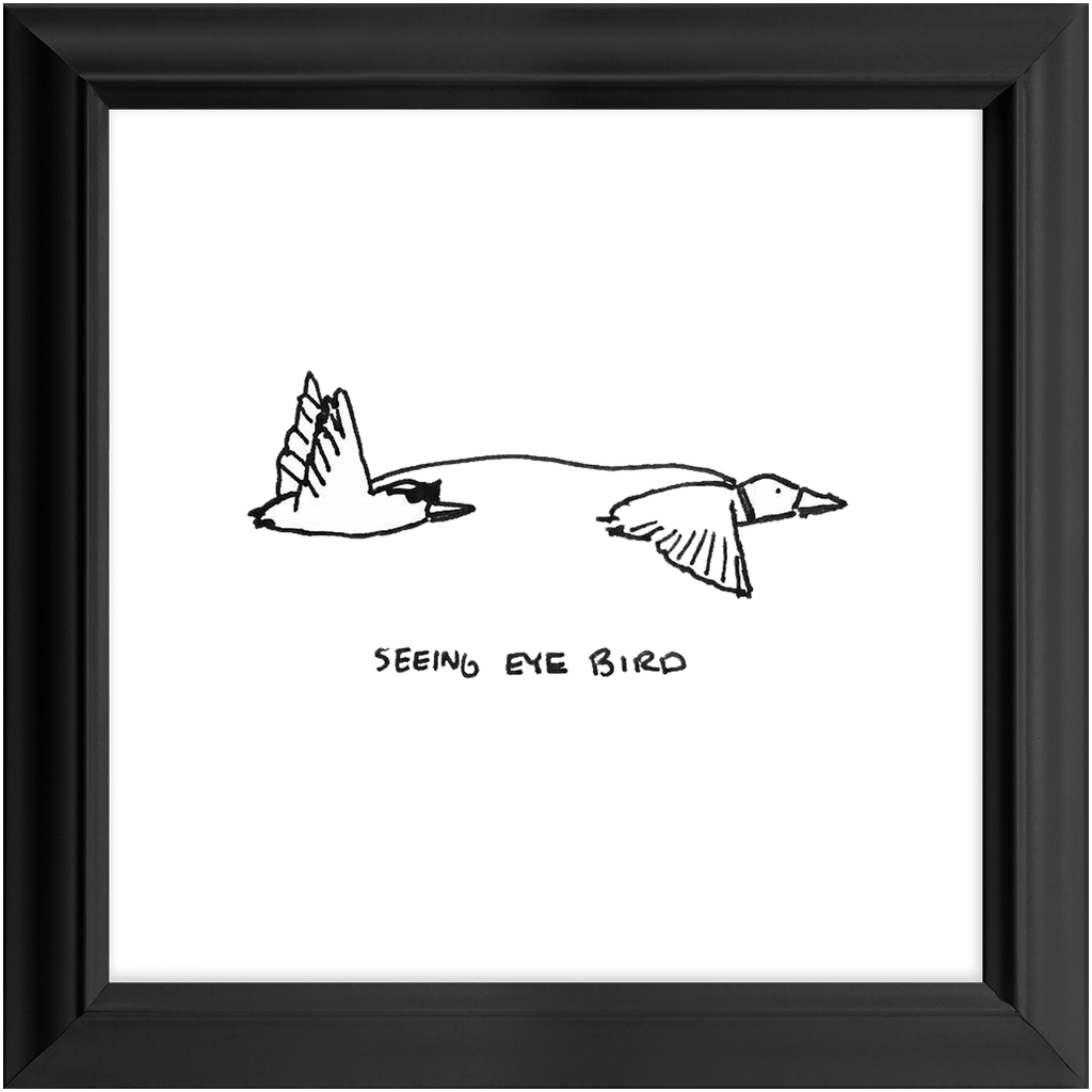 seeing-eye bird framed print