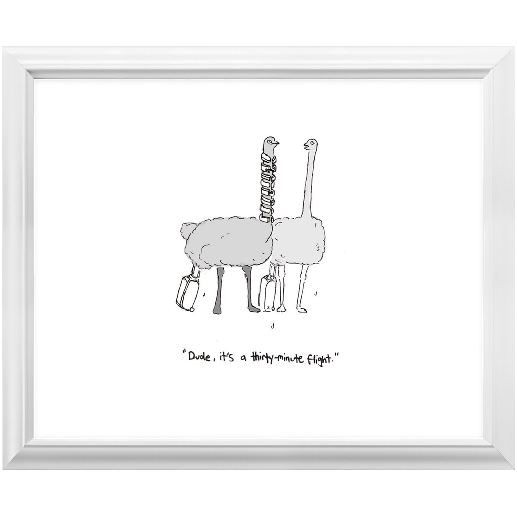 flying ostriches framed print
